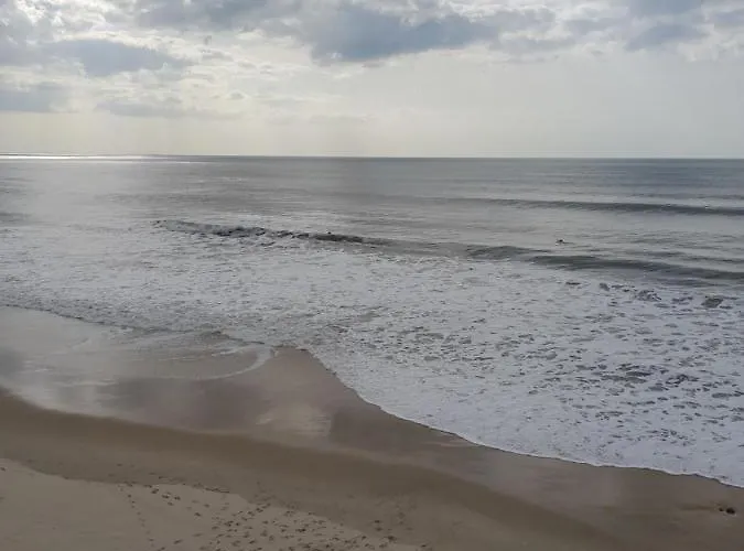 Lejlighed A Casinha Do Joao Alcobaça